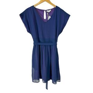 NWT Tulle Swiss Dot V Neck Short Sleeve Waist Tie Mini Dress Blue L Cottagecore